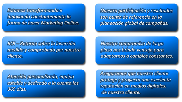Descripción de la imagen