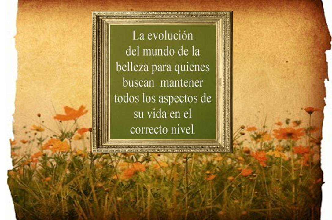 Descripción de la imagen