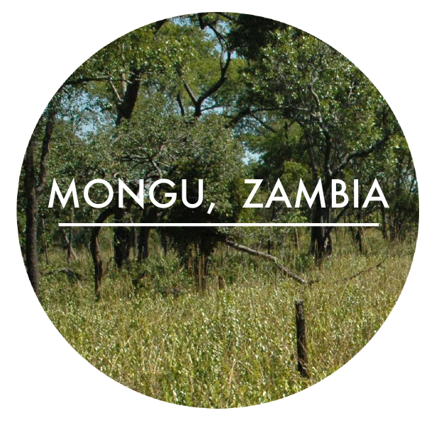 Mongu, Zambia