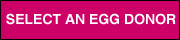 Become an Egg Donor