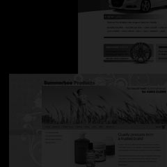 Various contemporary and modern website designs for clients including Summerbee Products.