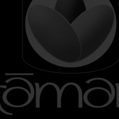 Various logo designs for clients including Totnes Local Foods andCambrian Biomass Fuels.