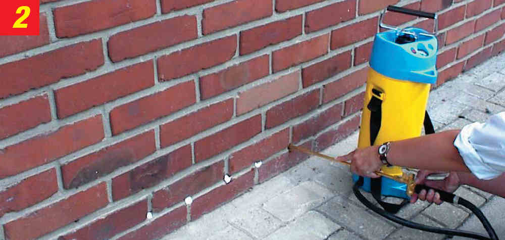 Damp proof injection internal walls image
