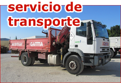 Descripción de la imagen
