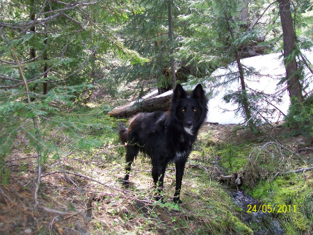 Image description