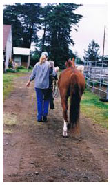 Linda with her beloved mare, Foxy