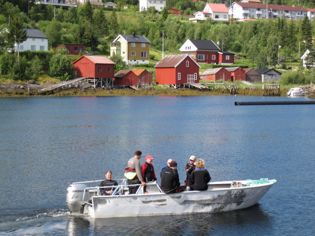 Image description