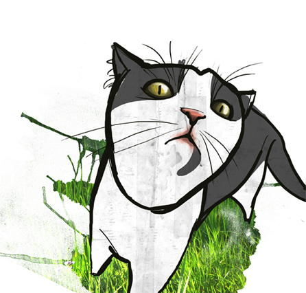 cats_ozonemotion