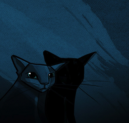 cats_ozonemotion