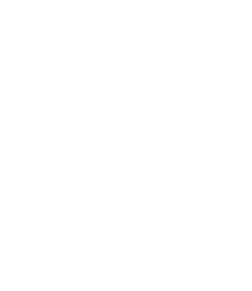 logo type_ozonemotion